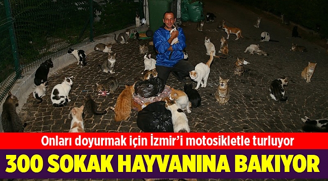 İzmirli hayvan sever 13 yıldır sokak sokak onları besliyor...