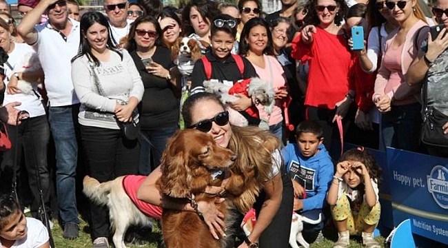 Narlıdere’de can dostlar için festival!