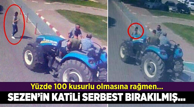Sezen'i göz göre göre öldüren sürücü serbest!