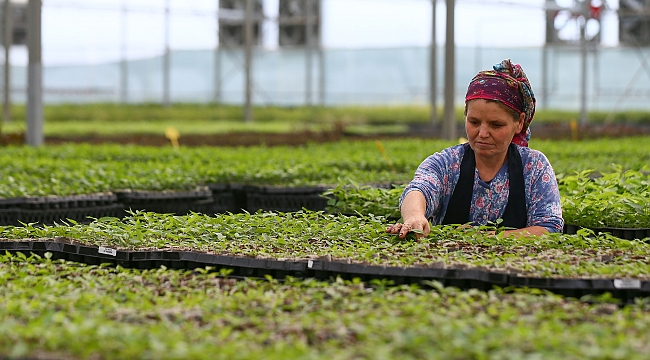 Yarım asırlık kooperatifin 4&#039;te 3&#039;ü kadın çalışanlardan oluşuyor