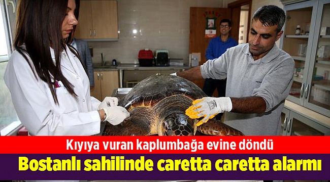Bostanlı sahilinde caretta caretta alarmı