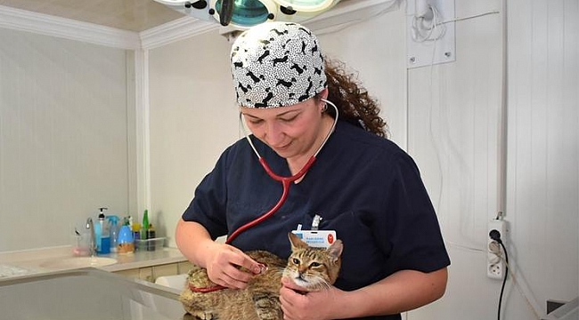 Can dostlar Narlıdere'de emin ellerde