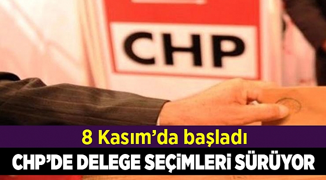 CHP'de delege seçimleri sürüyor