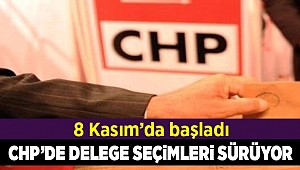 CHP'de delege seçimleri sürüyor