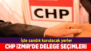 CHP İzmir'de delege seçimleri devam ediyor