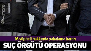İzmir'de suç örgütü operasyonu