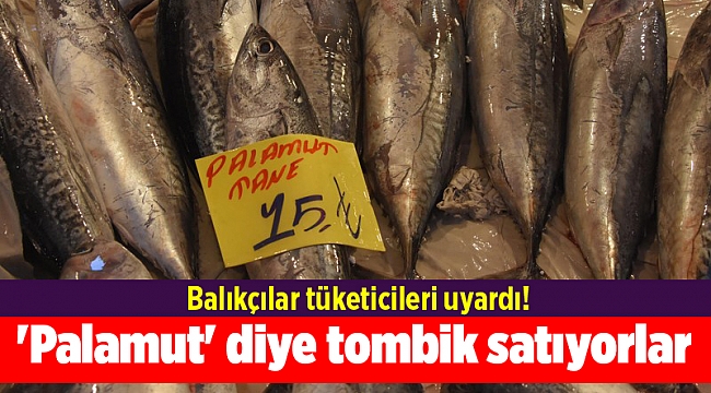 'Palamut' diye tombik satıyorlar