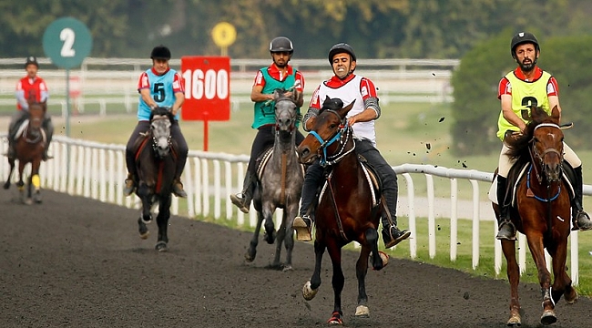 Rahvan Binicilik Türkiye Şampiyonası, İzmir'de yapıldı