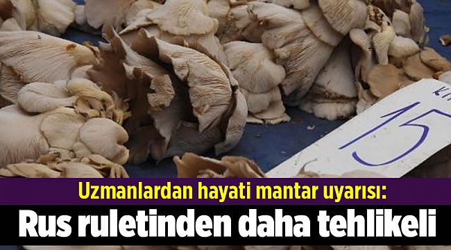 Uzmanlardan hayati mantar uyarısı: Rus ruletinden daha tehlikeli