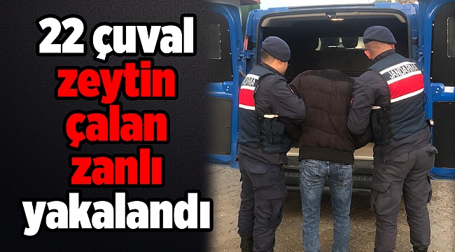 22 çuval zeytin çalan zanlı yakalandı