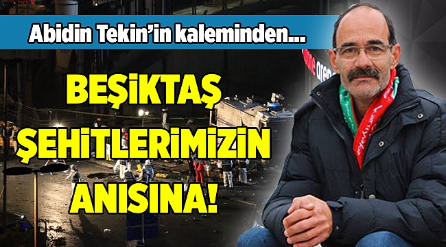 Abidin Tekin'in kaleminden...
