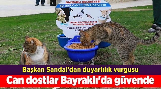 Can dostlar Bayraklı'da güvende