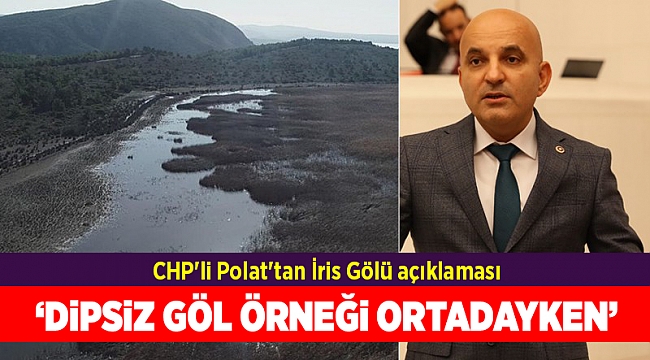 CHP'li Polat'tan İris Gölü açıklaması