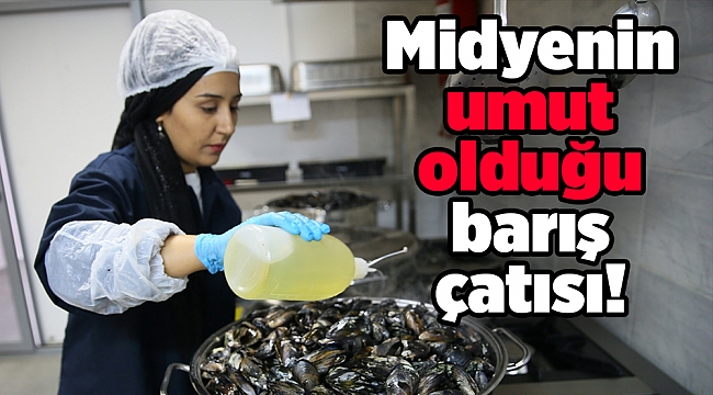 İzmir&#039;de midyenin umut olduğu barış çatısı!