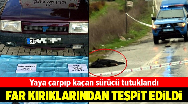 Jandarmanın titiz çalışması, ölümlü kazaya neden olan sürücüyü yakalattı