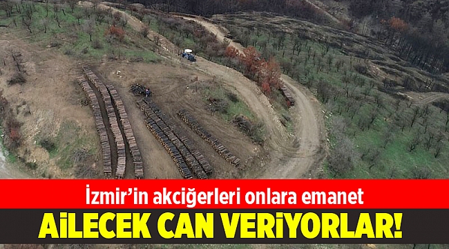 Yanan ormanlara ailece can veriyorlar