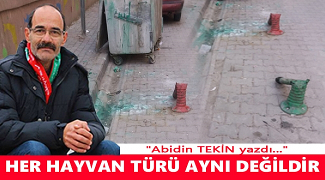 Abidin TEKiN'in Kaleminden...