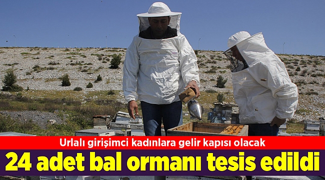 Bal ormanı, Urlalı girişimci kadınlara gelir kapısı olacak