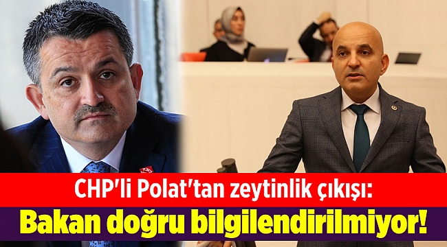 CHP'li Polat'tan zeytinlik çıkışı: Bakan doğru bilgilendirilmiyor!