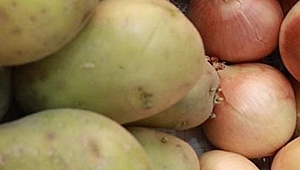 Patates ve soğanda yeni düzenleme