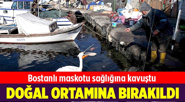 Pelikan Şakir sağlığına kavuştu, evine döndü