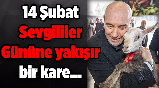 14 Şubat Sevgililer Gününe yakışır bir kare…