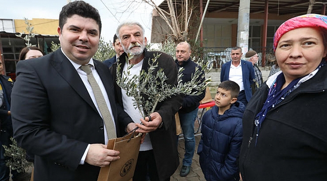 Buca’nın akciğerlerine 1800 zeytin fidanı