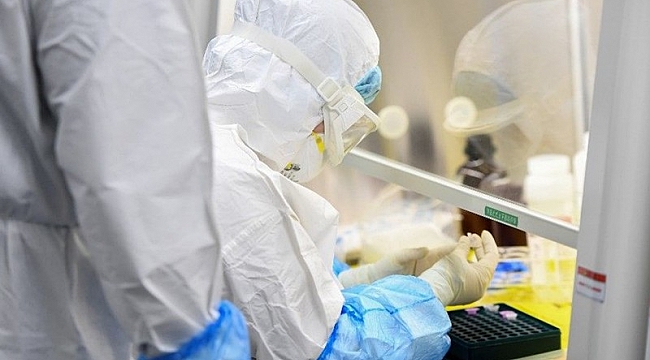 Corona virüsünde son durum! Maske takmayana gözaltı