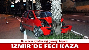 İzmir'de otomobil ağaca çarptı