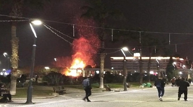 Vandallar İzmir'in göbeğinde ağaçları yaktı!