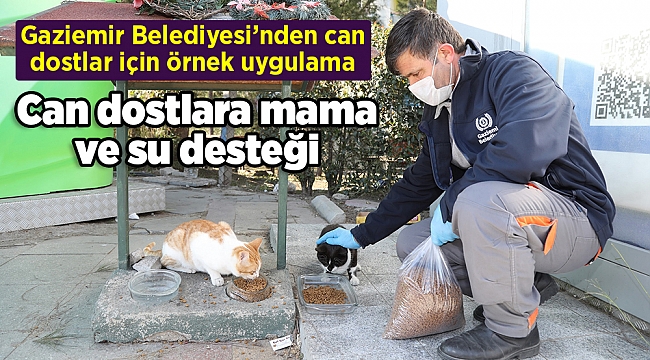 Gaziemir’de can dostlara mama ve su desteği