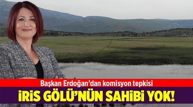 İris Gölü’nün kaderini belirleyecek komisyonda herkes var, sahibi yok!