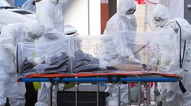 koronadan ölenlerin yaşa göre dağılımı