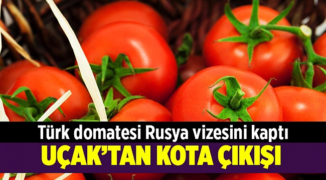 Türk domatesi Rusya vizesini kaptı