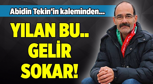 Abidin Tekin'in kaleminden...