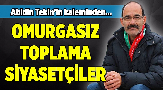 Abidin Tekin'in kaleminden...
