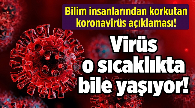 Bilim insanlarından korkutan koronavirüs açıklaması! Virüs o sıcaklıkta bile yaşıyor!