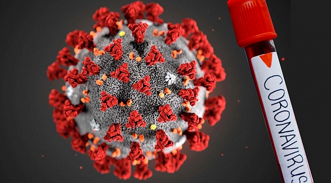 Bomba koronavirüs iddiası! Salgınla ilgili bilinen herşey yanlışmış
