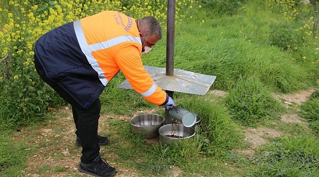 Buca’da sokak hayvanlarına özel önlem: 25 yeni beslenme odağı