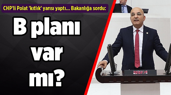 CHP'li Polat 'kıtlık' yarısı yaptı Bakanlığa sordu: B planı var mı?