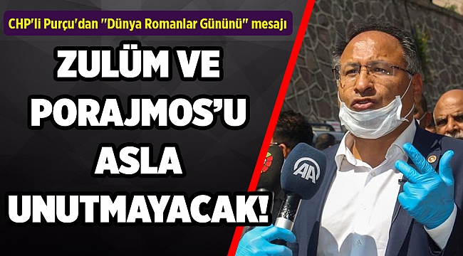 CHP'li Purçu'dan "Dünya Romanlar Gününü" mesajı
