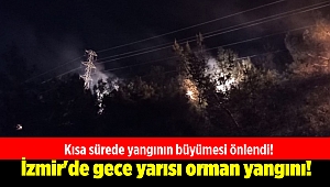 İzmir'de gece yarısı orman yangını!