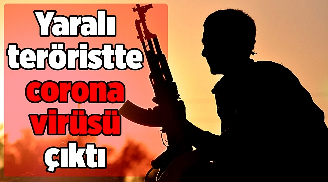 Muş'ta yaralı olarak yakalanan terörist Mahmut Okay'ın koronavirüs testi pozitif çıktı