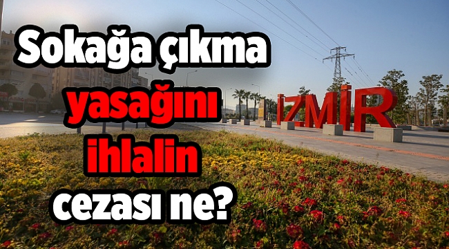 Sokağa çıkma yasağını ihlalin cezası ne?