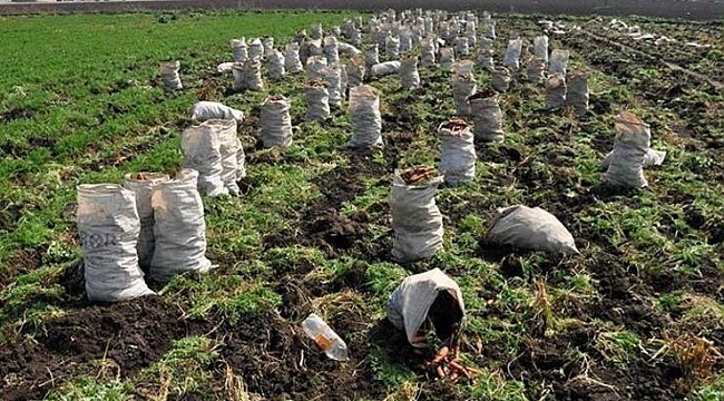 Tarımda şahlanmazsak açlık salgını başlayacak