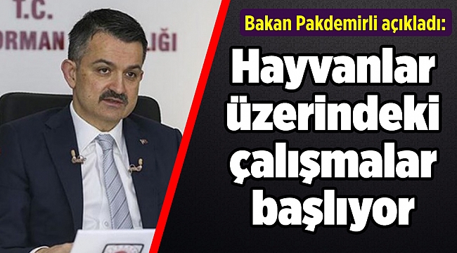 Bakan Pakdemirli açıkladı: Hayvanlar üzerindeki çalışmalar başlıyor
