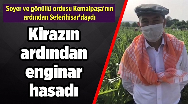 Başkan Soyer&#039;den kirazın ardından enginar hasadı