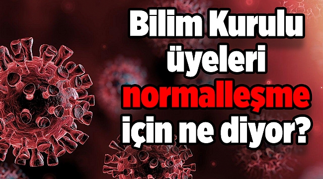 Bilim Kurulu üyeleri normalleşme için ne diyor?