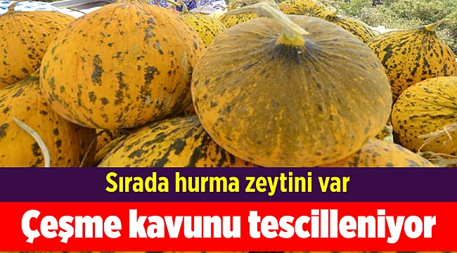 Çeşme kavunu tescilleniyor
