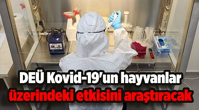 DEÜ Kovid-19'un hayvanlar üzerindeki etkisini araştıracak